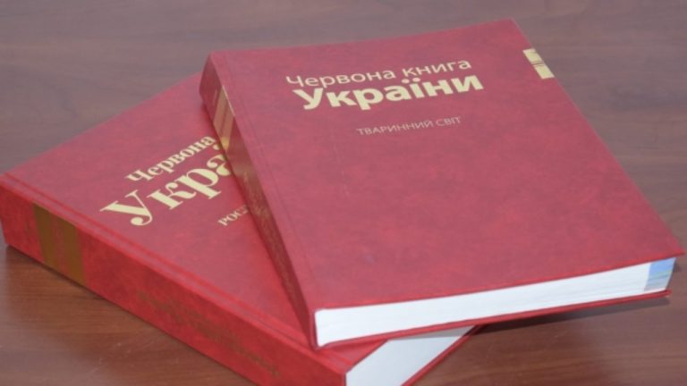 Червона книга України: що це і як рятує природу - Wem.ua